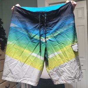 Speedo Swim Shorts